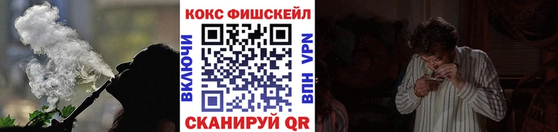 COCAIN Боливия  Белоярский 